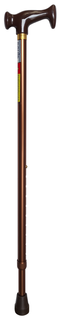 Elegant Handle Cane