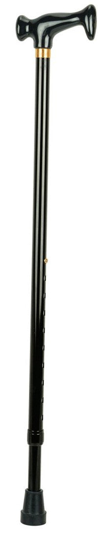 ELEGANT HANDLE CANE