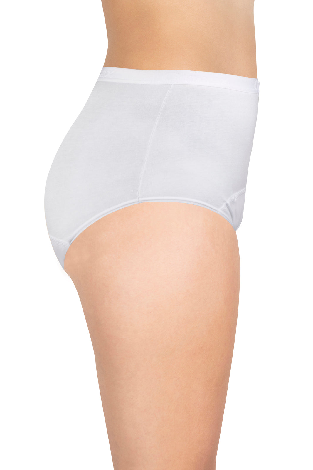 Washable Incontinence Female Underwear – New Rose